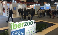 2027年西班牙马德里宠物用品展览会(IBERZOO&PROPET)布展、开展、撤展全流程注意事项