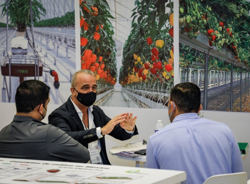 墨西哥花卉园艺展览会