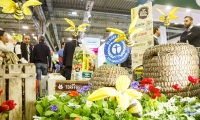 德国埃森花卉园艺展览会(IPM ESSEN)2027年展位预定流程，企业参展必备步骤+避坑要点