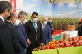 2027年阿塞拜疆巴库食品展(Interfood Azerbaijan)布展、开展、撤展全流程注意事项