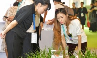 2026年上海国际时尚家居用品展览会(ILC)观展指南