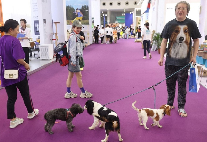 深圳特殊渠道宠物用品展