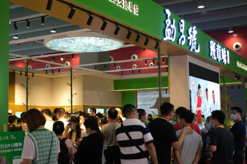 广州春季茶叶展-广州茶博会展会现场图片