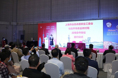 郑州国际休闲食品糖果零食及巧克力展览会展会现场图片