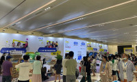 上海它博会2025举办时间与地点