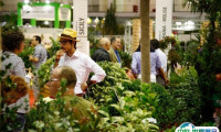 意大利帕多瓦园林园艺花卉展览会2024展品有哪些？