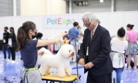 2027年新加坡宠物用品展览会(Pet Expo Singapore)预定展位：避坑注意事项详解
