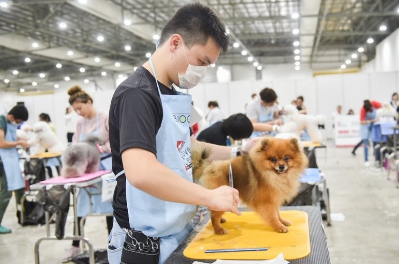 新加坡宠物用品展览会