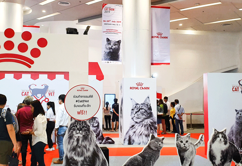 泰国曼谷猫展