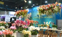 2027年中国（上海）国际花卉园艺展览会(Hortiflorexpo IPM Shanghai )涵盖哪些展品类别？