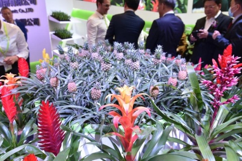 中国(上海)国际花卉园艺展览会展会现场图片