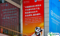 2025上海进博会门票如何购买？进博会门票多少钱