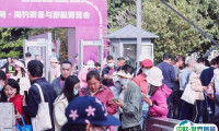 2025广州国际游艇展览会展商名单
