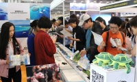 2027印尼潜水及度假观光展览会参展报名及展位预约流程