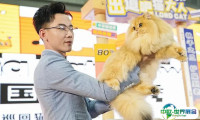 2025年西安西北宠物用品展览会门票如何申请？多少钱？