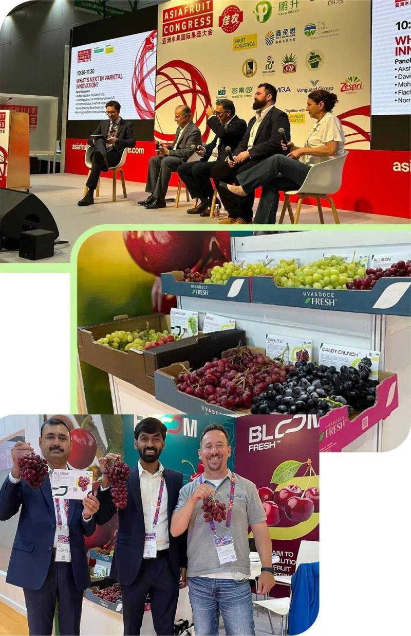 9月香港见!BLOOM FRESH™诚邀您相约 2025 亚洲国际果蔬展览会