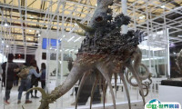 上海wf展2025参展攻略（时间地点+门票多少钱？）