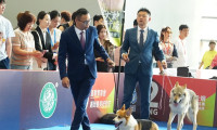 西安宠物展2026时间表及地点
