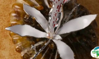 CHIC2026(春季)| 配饰即生意:“配饰鞋包”展区解码小品类如何撬动大市场