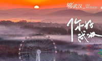 武汉摩天轮传递的讯息：即便雾气弥漫，也别错过这座城市的迷人风光。️#晚安武汉#