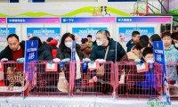 2025国际宠物展于北京平谷区正式启动