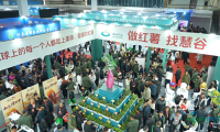 慧谷2号鲜食甘薯品种，在中国甘薯博览会广受瞩目