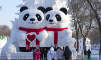 哈尔滨太阳岛雪雕博览会启动试运营