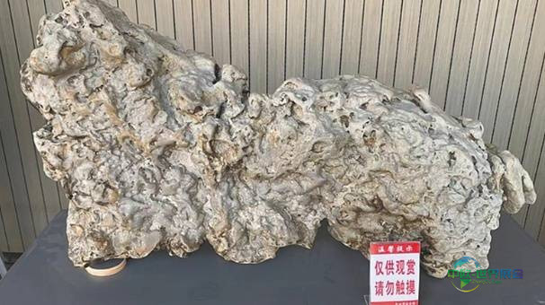 明年1月开幕!2026三亚观赏石博览会精彩看点提前揭秘