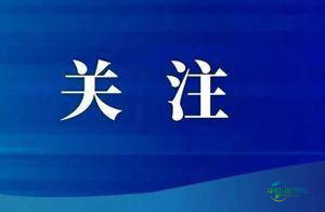 链接世界 创新前行——第八届全球会展产业链博览会精彩瞬间