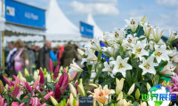 2026年英国花卉展览 参观者预先登记现已启动,盛况即将呈现!