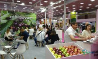 FRESKON展会创下客流纪录。总参观人数增长58%，国际访客增加37.5%，促成超2600场商务会谈