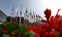 惠及全球！进博会助力各国共享中国发展红利