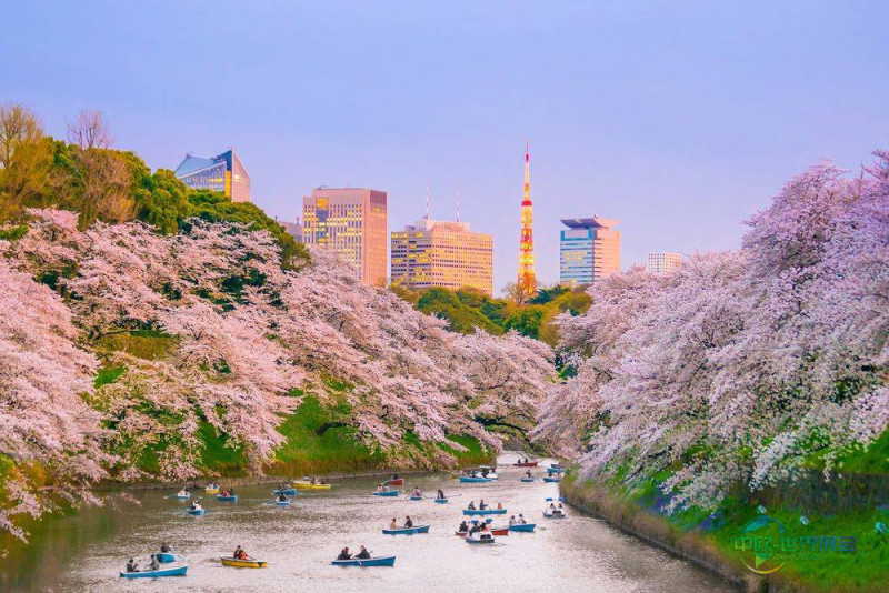 2026哈萨克斯坦阿拉木图国际旅游展展示日本旅行方案 - Tairiku Travel