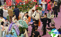 2025上海花卉园艺展门票购买渠道