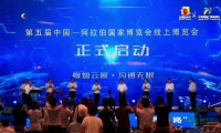 首届中阿博览会线上博览会正式启动
