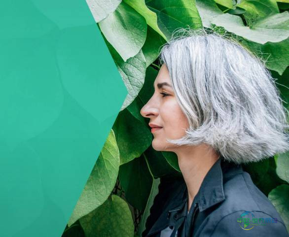 2025年德国慕尼黑国际汽车及智慧出行展览会：推出GoGreen票务计划支持气候保护