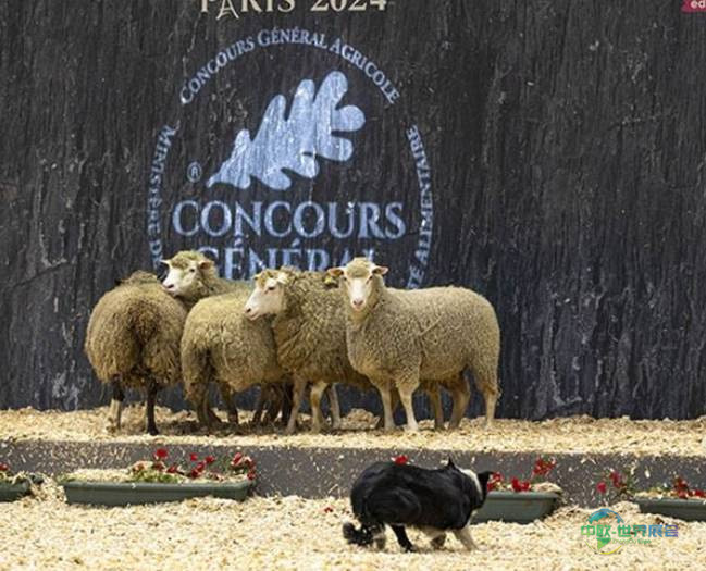 法国巴黎国际农牧业展 Concours GénÉral Agricole 2026年农业卓越盛会