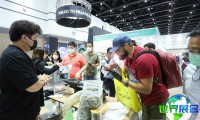2026年泰国大麻展览会参展指引:日程安排与票务信息