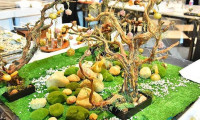印度尼西亚丹格朗国际食品饮料及食品配料展览会:印尼乳制品及鸡蛋生产商亮相