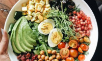 2026年南非开普敦国际食品展：植物基食品成日常选择