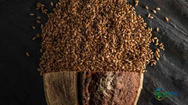 2026年意大利佛罗伦萨国际美食展览会：古老谷物与现代技术共舞，引领未来食品潮流