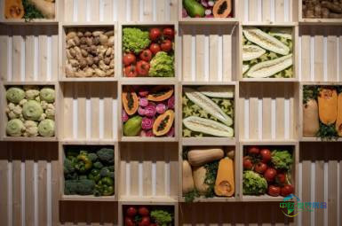 2026年芬兰赫尔辛基国际食品加工展览会：参展指南
