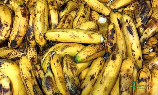 2026年德国法兰克福国际健康食品配料和天然配料展览会:GLP-1药物对食品行业的影响