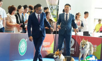 西安宠物展(PA SHOW)2026参观攻略:日程安排/场馆/票务