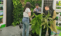 2026中国广州花卉博览会暨世界热植博览会即将盛大开幕 敬请关注