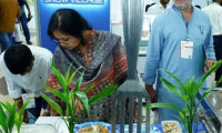 2025年孟加拉国达卡国际食品博览会：绝佳的采购平台