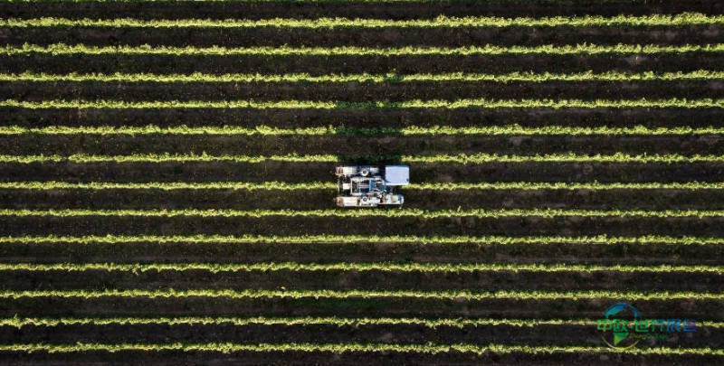 2026年芬兰坦佩雷国际食品饮料工业展览会:新名字新气象