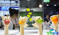 2026年上海咖啡周(COFFEE FOODIE FESTIVAL)门票如何获取？费用是多少？
