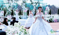 2026年春季青岛婚庆产业博览会开幕，一站式婚礼筹备盛宴点燃甜蜜经济