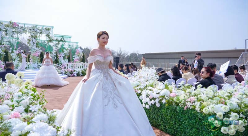 2026春季青岛婚尚产业博览会启幕 一站式备婚盛宴激活甜蜜经济